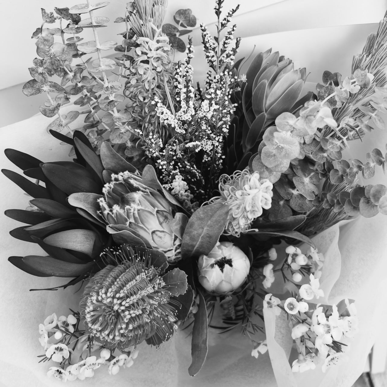 Native boxed Arrangement